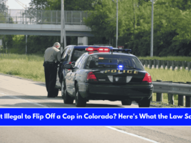 Is It Illegal to Flip Off a Cop in Colorado Here's What the Law Says