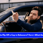 Is It Illegal to Flip Off a Cop in Delaware Here's What the Law Says