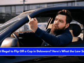 Is It Illegal to Flip Off a Cop in Delaware Here's What the Law Says