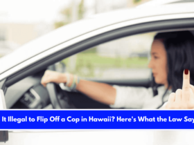Is It Illegal to Flip Off a Cop in Hawaii Here's What the Law Says