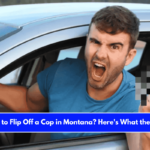 Is It Illegal to Flip Off a Cop in Montana Here's What the Law Says
