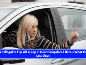 Is It Illegal to Flip Off a Cop in New Hampshire Here's What the Law Says