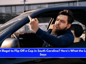 Is It Illegal to Flip Off a Cop in South Carolina Here's What the Law Says