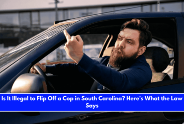 Is It Illegal to Flip Off a Cop in South Carolina Here's What the Law Says