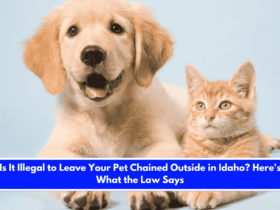Is It Illegal to Leave Your Pet Chained Outside in Idaho Here's What the Law Says