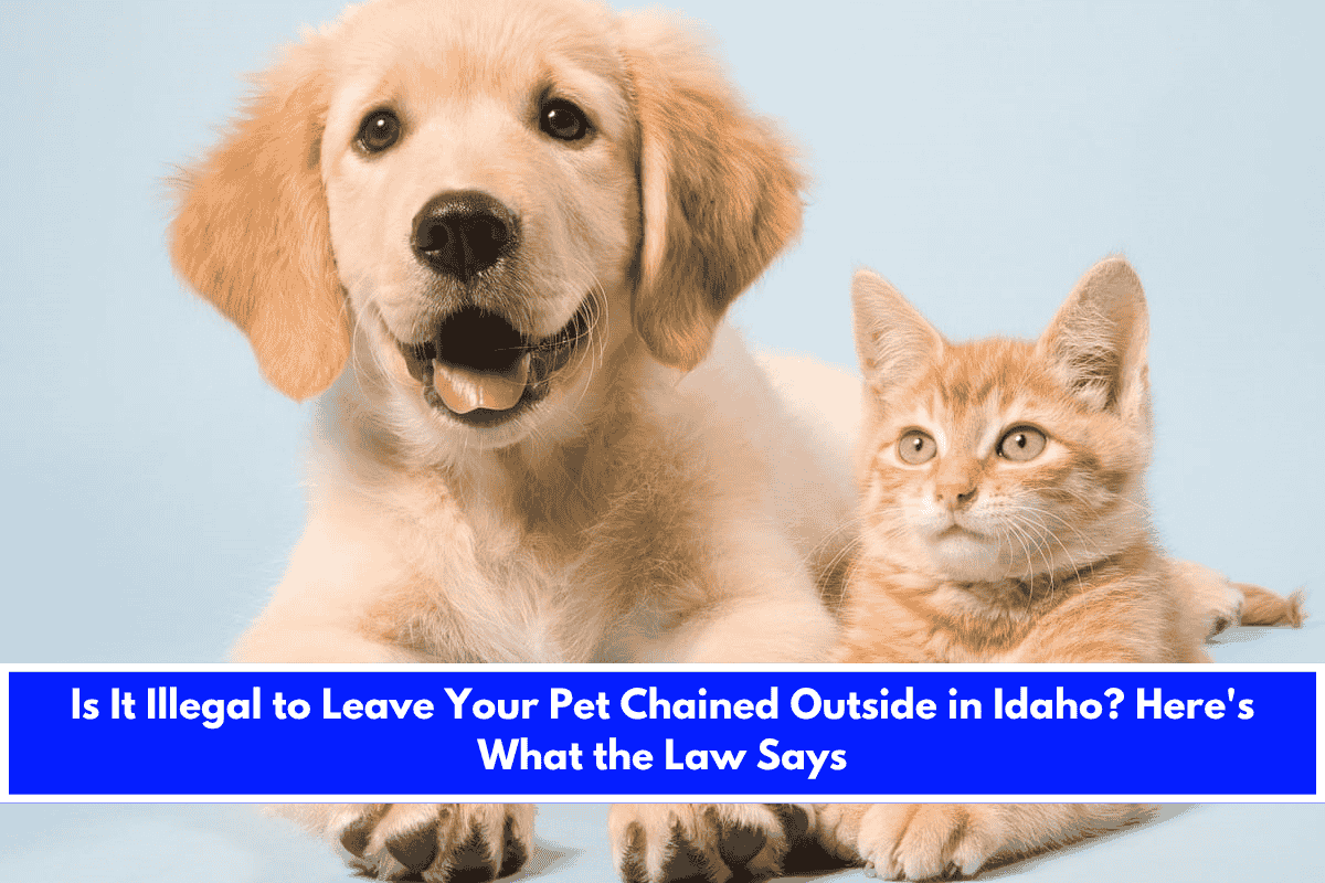 Is It Illegal to Leave Your Pet Chained Outside in Idaho Here's What the Law Says