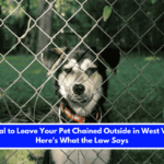 Is It Illegal to Leave Your Pet Chained Outside in West Virginia Here's What the Law Says