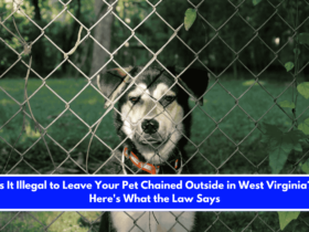 Is It Illegal to Leave Your Pet Chained Outside in West Virginia Here's What the Law Says