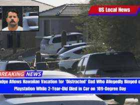 Judge Allows Hawaiian Vacation for 'Distracted' Dad Who Allegedly Binged on Playstation While 2-Year-Old Died in Car on 109-Degree Day