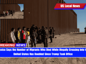Mexico Says the Number of Migrants Who Died While Illegally Crossing Into the United States Has Doubled Since Trump Took Office