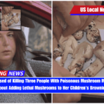 Mother Accused of Killing Three People With Poisonous Mushroom Meal, Boasted About Adding Lethal Mushrooms to Her Children's Brownies