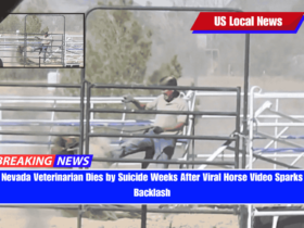 Nevada Veterinarian Dies by Suicide Weeks After Viral Horse Video Sparks Backlash
