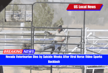 Nevada Veterinarian Dies by Suicide Weeks After Viral Horse Video Sparks Backlash