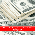 New Stimulus Checks Are Being Sent by Certain States How Can I Be Eligible
