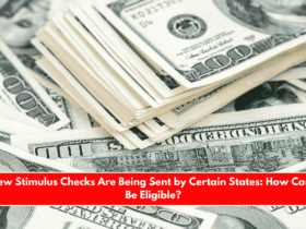 New Stimulus Checks Are Being Sent by Certain States How Can I Be Eligible