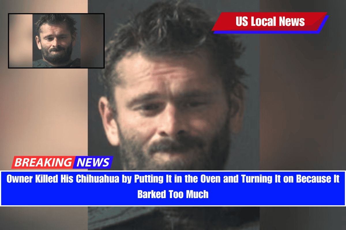 Owner Killed His Chihuahua by Putting It in the Oven and Turning It on Because It Barked Too Much