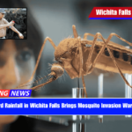 Record Rainfall in Wichita Falls Brings Mosquito Invasion Warnings