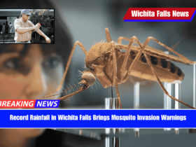 Record Rainfall in Wichita Falls Brings Mosquito Invasion Warnings