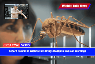 Record Rainfall in Wichita Falls Brings Mosquito Invasion Warnings