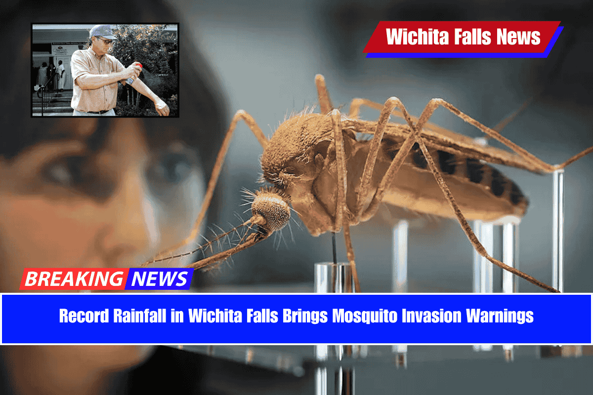 Record Rainfall in Wichita Falls Brings Mosquito Invasion Warnings
