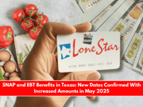 SNAP and EBT Benefits in Texas New Dates Confirmed With Increased Amounts in May 2025