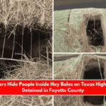 Smugglers Hide People Inside Hay Bales on Texas Highway 12 Detained in Fayette County