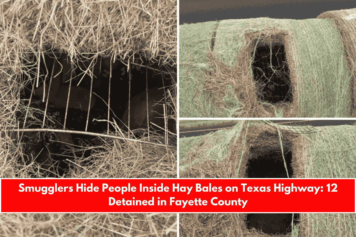 Smugglers Hide People Inside Hay Bales on Texas Highway 12 Detained in Fayette County