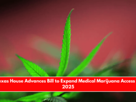 Texas House Advances Bill to Expand Medical Marijuana Access in 2025