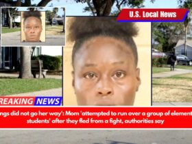 'Things did not go her way' Mom 'attempted to run over a group of elementary students' after they fled from a fight, authorities say