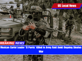 Top Mexican Cartel Leader 'El Perris' Killed in Army Raid Amid Ongoing Sinaloa Turf War