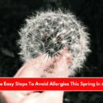Use These Easy Steps To Avoid Allergies This Spring In Amarillo
