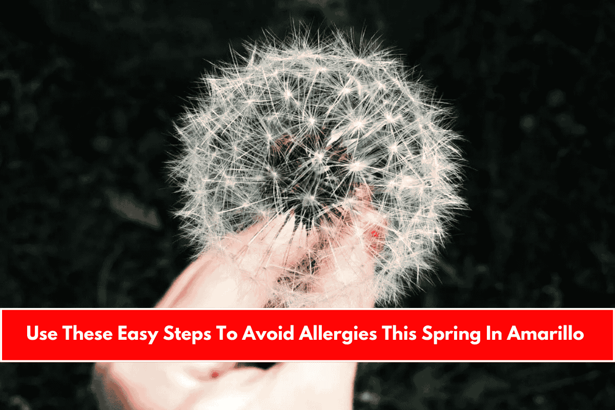 Use These Easy Steps To Avoid Allergies This Spring In Amarillo