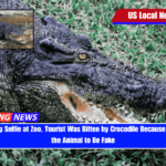 While Taking Selfie at Zoo, Tourist Was Bitten by Crocodile Because He Believed the Animal to Be Fake