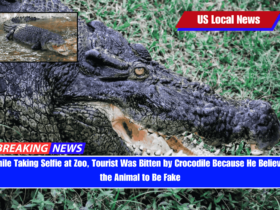 While Taking Selfie at Zoo, Tourist Was Bitten by Crocodile Because He Believed the Animal to Be Fake