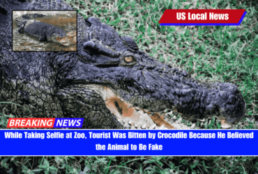 While Taking Selfie at Zoo, Tourist Was Bitten by Crocodile Because He Believed the Animal to Be Fake