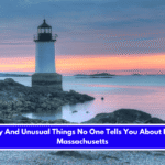 8 Quirky And Unusual Things No One Tells You About Living In Massachusetts
