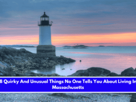 8 Quirky And Unusual Things No One Tells You About Living In Massachusetts