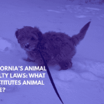 California’s Animal Cruelty Laws What Constitutes Animal Abuse