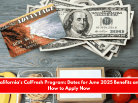 California’s CalFresh Program Dates for June 2025 Benefits and How to Apply Now
