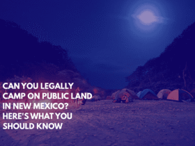 Can You Legally Camp on Public Land in New Mexico Here's What You Should Know