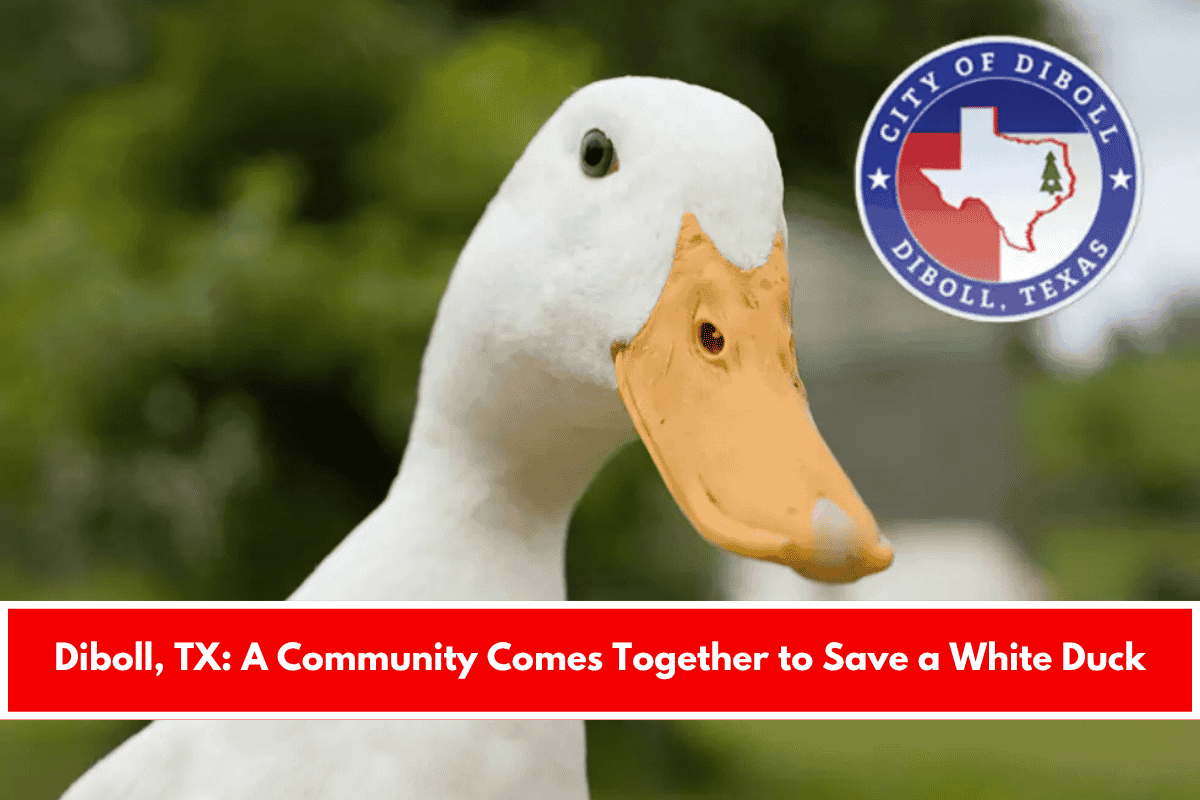 Diboll, TX A Community Comes Together to Save a White Duck