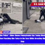 Don't Fight the Police Video Shows Pennsylvania Cop Tasing Black Man on the Ground and Then Punching Him Twice in the Face While Arresting Him for a Traffic Stop