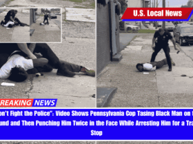 Don't Fight the Police Video Shows Pennsylvania Cop Tasing Black Man on the Ground and Then Punching Him Twice in the Face While Arresting Him for a Traffic Stop