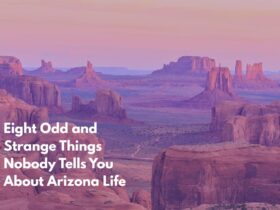 Eight Odd and Strange Things Nobody Tells You About Arizona Life