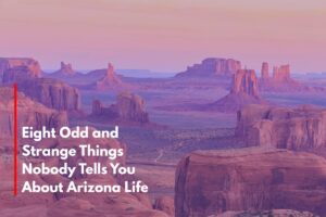 Eight Odd and Strange Things Nobody Tells You About Arizona Life