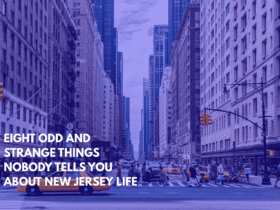 Eight Odd and Strange Things Nobody Tells You About New Jersey Life