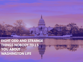 Eight Odd and Strange Things Nobody Tells You About Washington Life