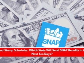 Food Stamp Schedules Which State Will Send SNAP Benefits in the Next Ten Days