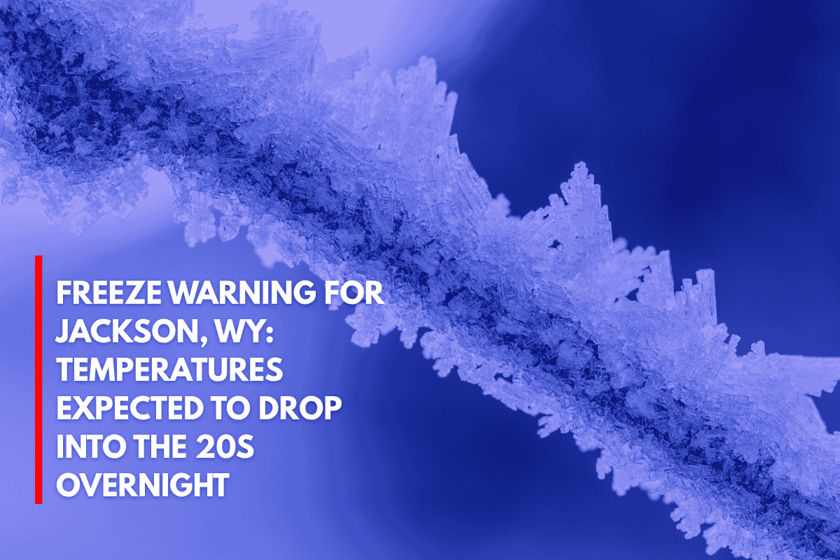 Freeze Warning for Jackson, WY Temperatures Expected to Drop Into the 20s Overnight