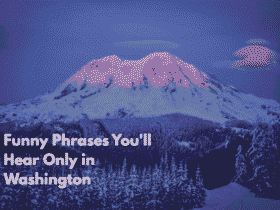 Funny Phrases You'll Hear Only in Washington